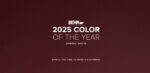 اعلام رنگ مد سال ۲۰۲۵ توسط شرکت های متفاوت