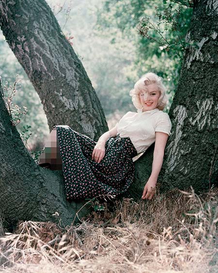 مریلین مونرو, بیوگرافی مریلین مونرو