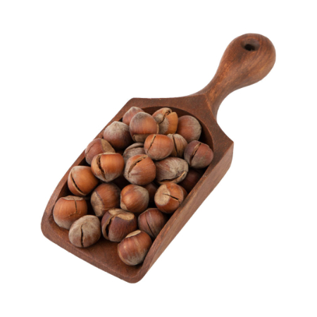 انواع فندق و پسته ایرانی,خواص  فندق و پسته 