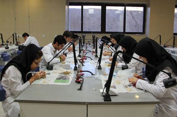 تجاری‌سازی؛ گمشده اکوسیستم نوآوری در خراسان