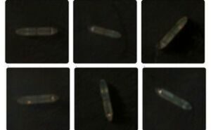 عبور ۴ نفتکش ایرانی از محاصره دریایی آمریکا + عکس