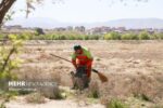 پویش پاکسازی ساحل زاینده رود در هفته زمین پاک برگزار می‌شود