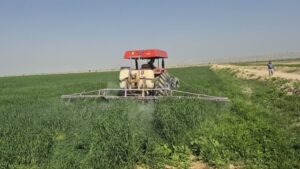 پیش‌بینی برداشت ۱۰ هزار تن گندم و جو در سربیشه